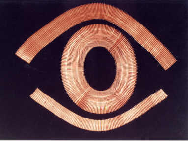 web7.jpg (16198 bytes)